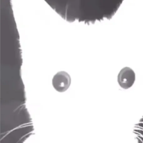Mo